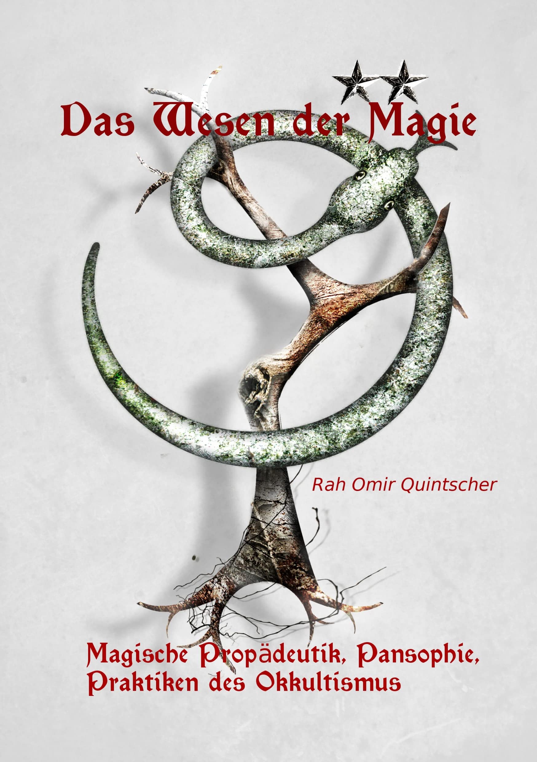 Das Wesen der Magie: Magische Propädeutik, Pansophie, Praktiken des Okkultismus Religion & Esotericism
