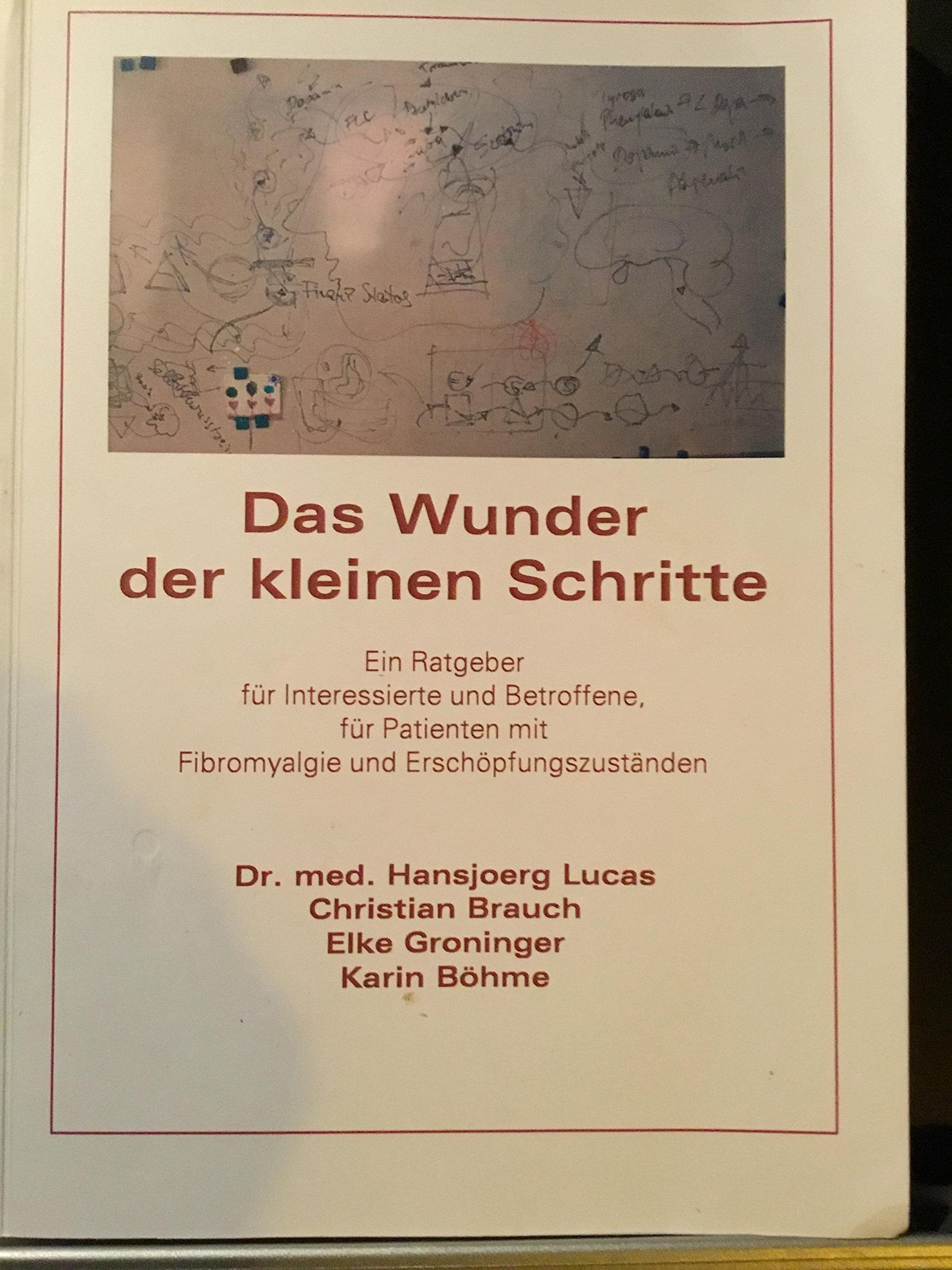 Das Wunder der kleinen Schritte. Ein Ratgeber für Interessierte und Betroffene, für Patienten mit Fibromyalgie und Erschöpfungszuständen. Books
