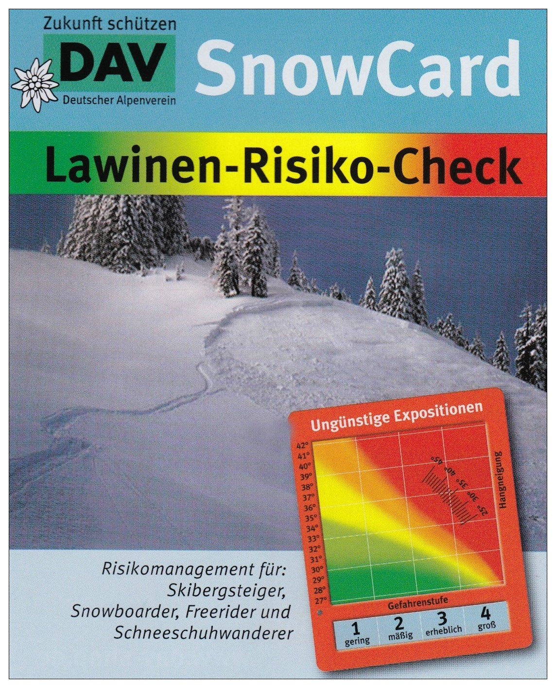 SnowCard: Lawinen-Risiko-Check: Risikomanagement für: Skitourengeher, Snowboarder, Variantenfahrer, Schneeschuhwanderer Business, Finance & Career