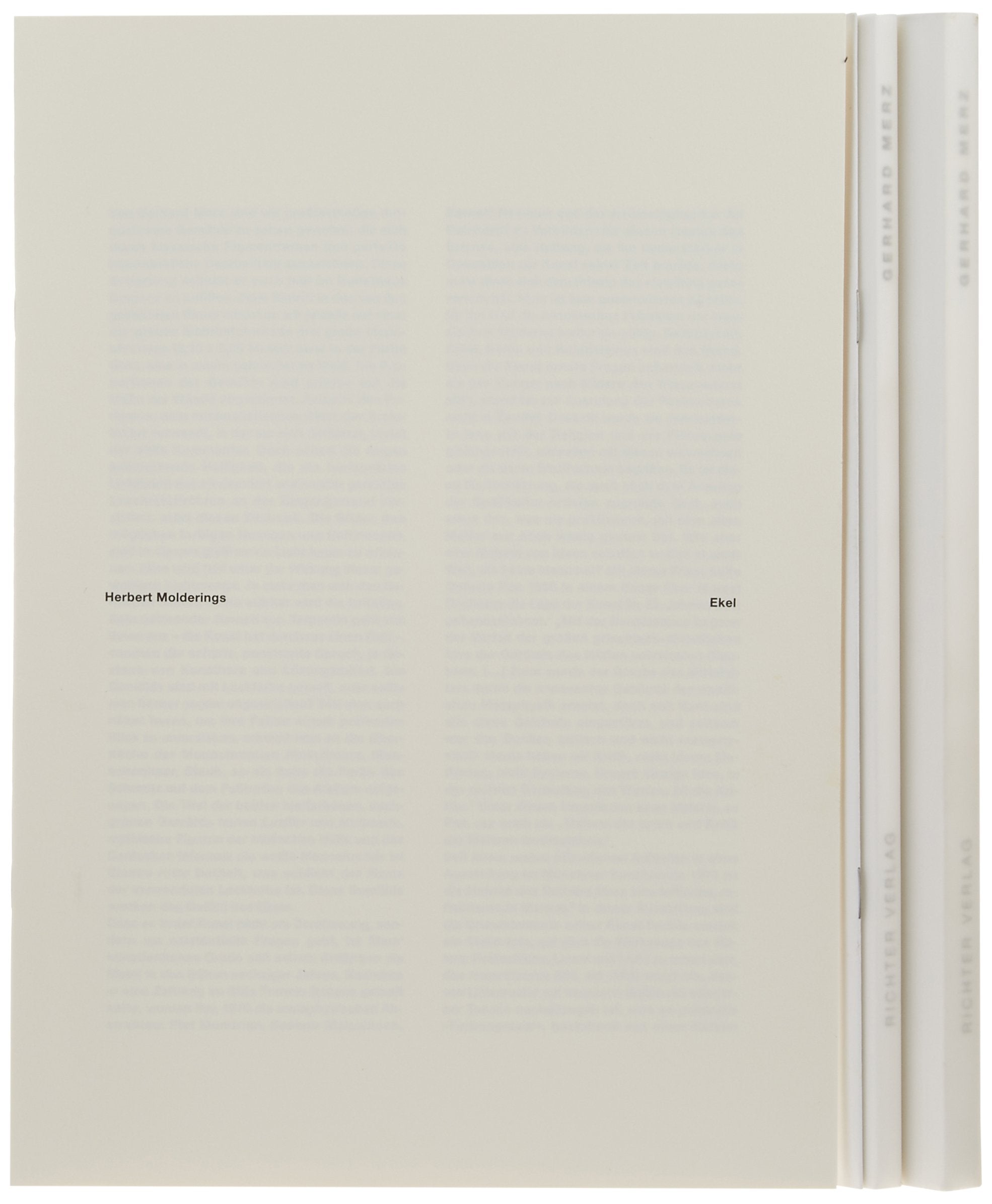 Gerhard Merz: Mit Herbert Molderings: 'Gerhard Merz. Ein Künstler des Agnostizismus'. Katalog zur Ausstellung im Kunsthaus Bregenz 'Re-Object', 2007 Film, Art & Culture