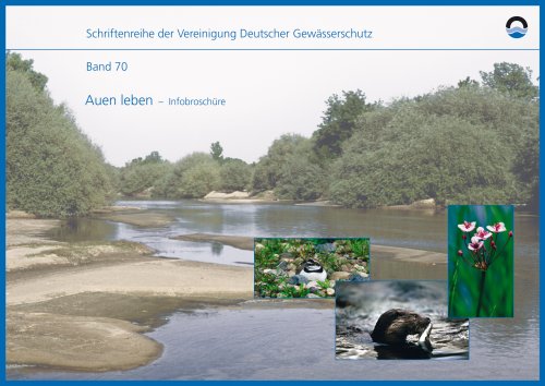 Auen leben - Infobroschüre Books