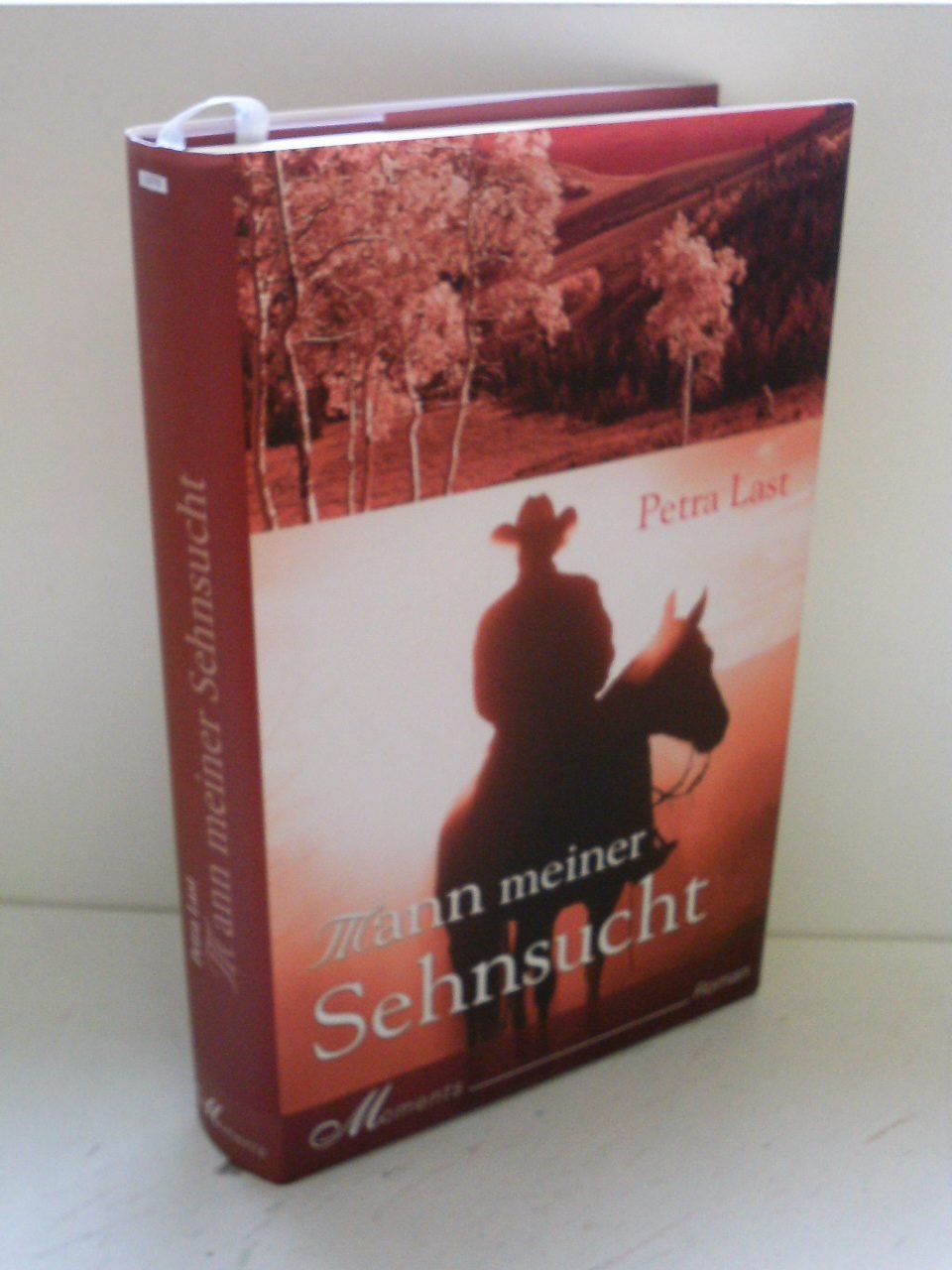 Mann meiner Sehnsucht Fiction Books