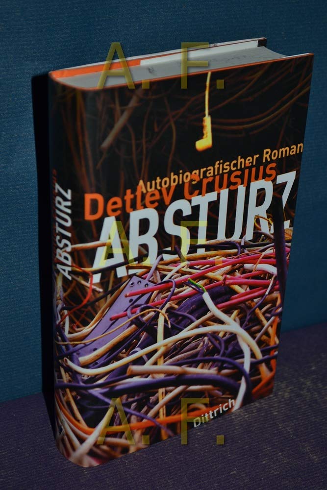 Absturz: Autobiografischer Roman Contemporary literature