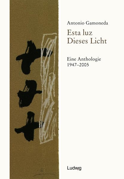 Esta luz / Dieses Licht Contemporary literature