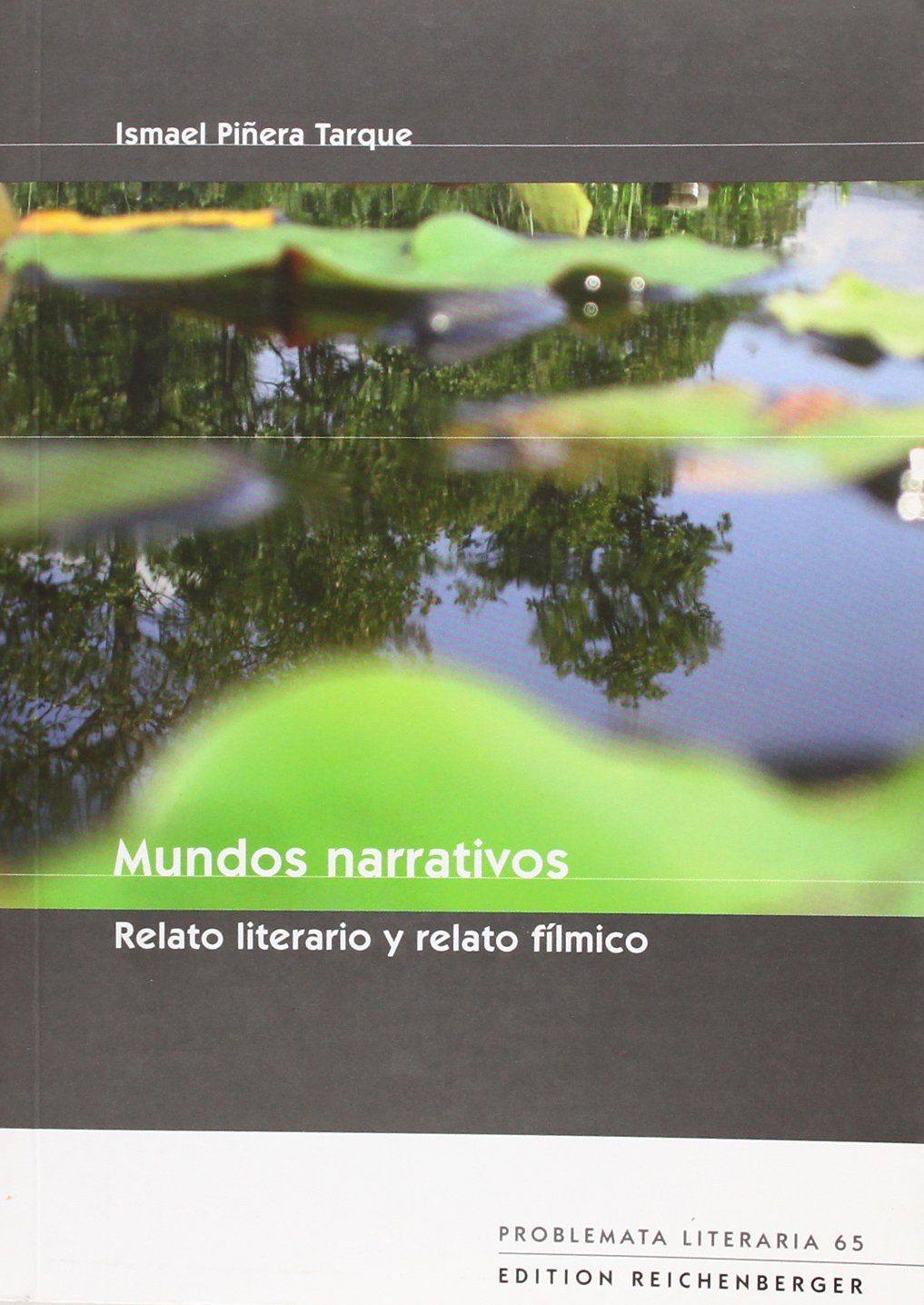 Mundos narrativos. relato literario y relato filmico book