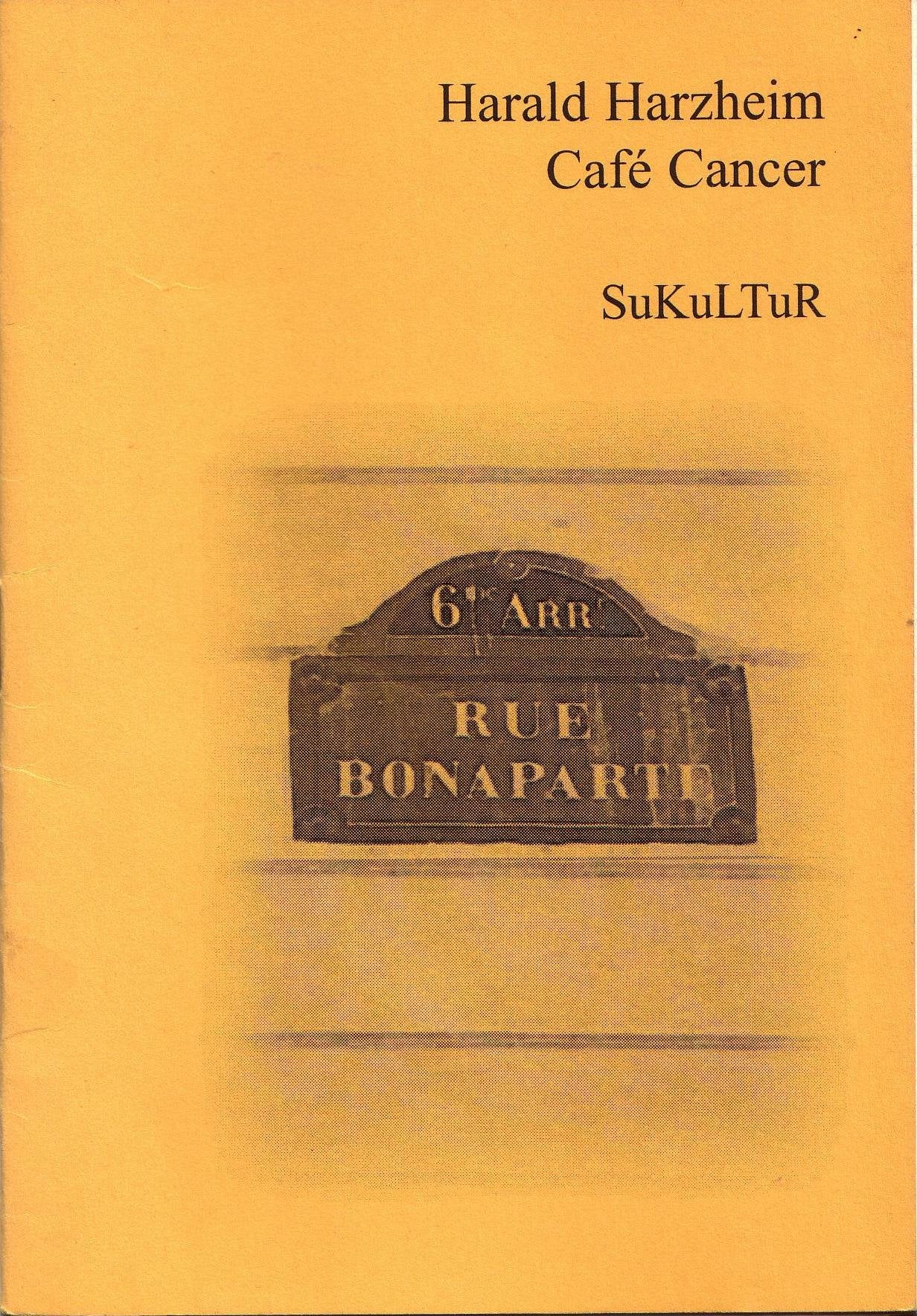 Café Cancer (Schöner Lesen) Contemporary literature