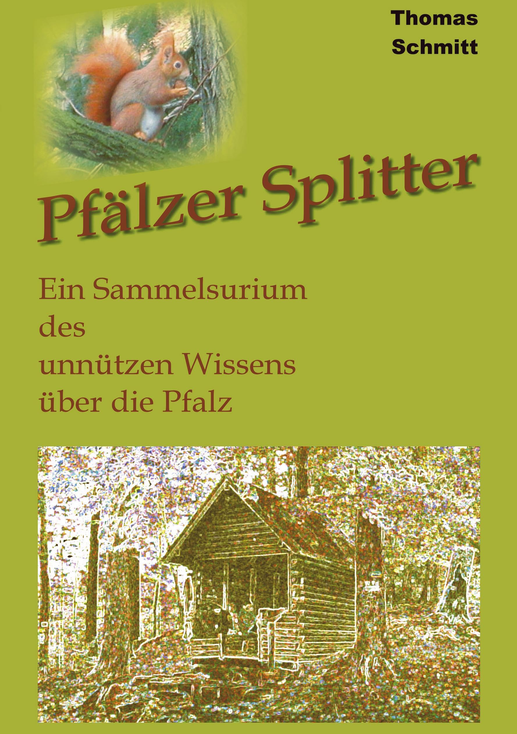 Pfälzer Splitter: Ein Sammelsurium des unnützen Wissens über die Pfalz Humour & Satire