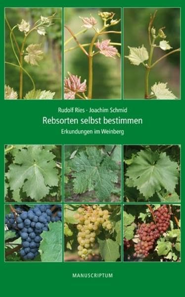 Rebsorten selbst bestimmen: Erkundungen im Weinberg Leisure, Home & Garden