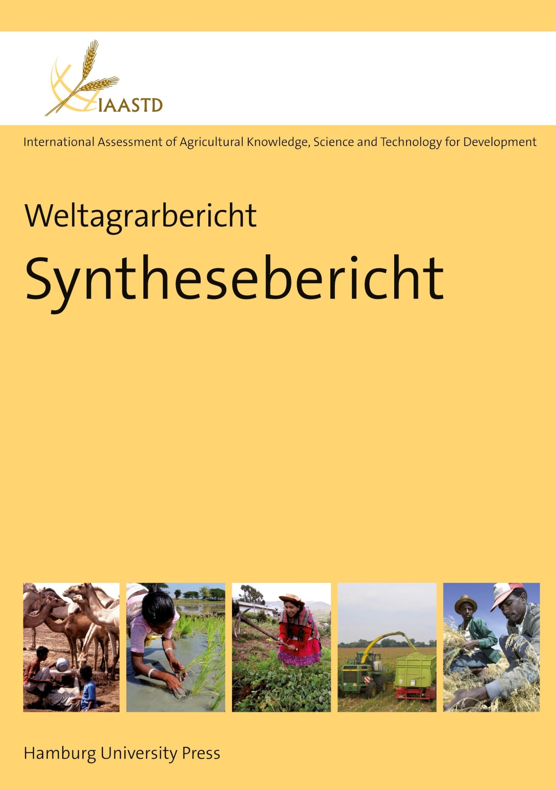Weltagrarbericht: Synthesebericht Social Sciences