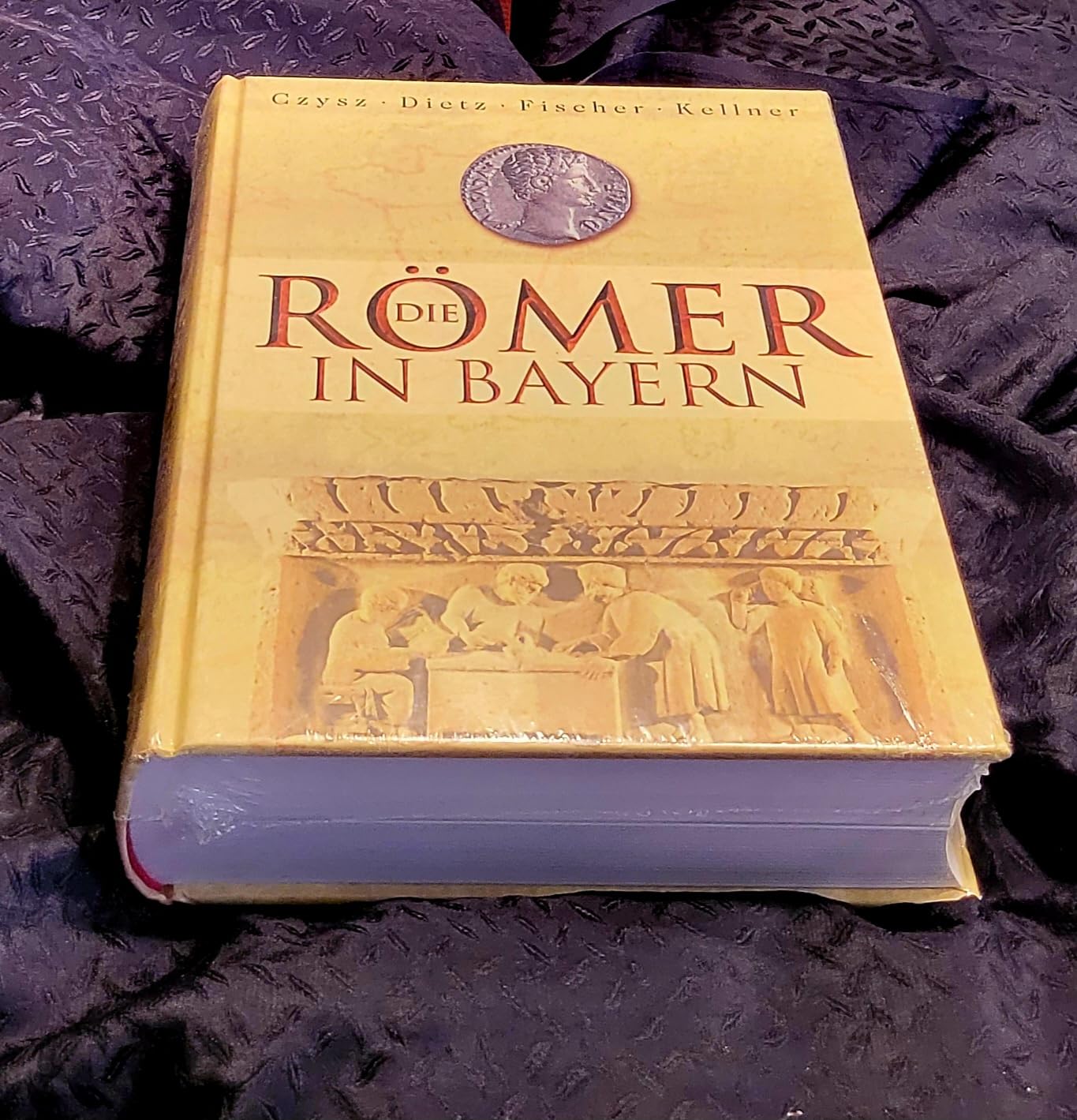 Die Römer in Bayern Natural Sciences Books