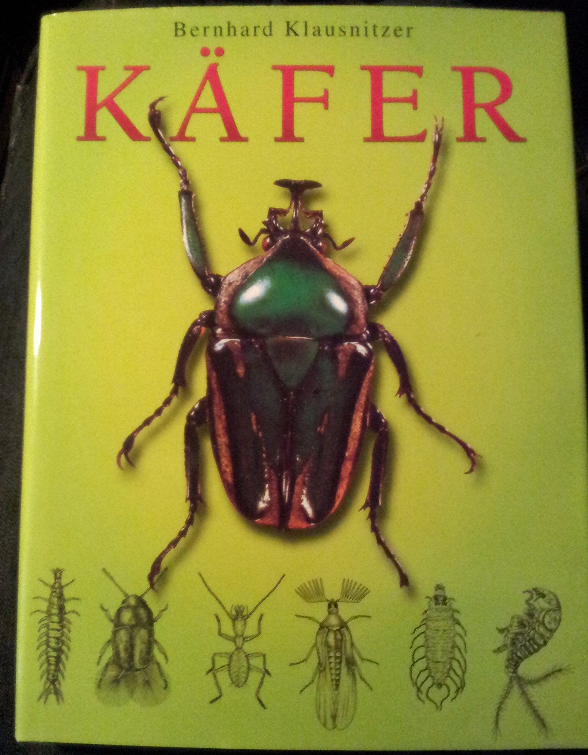 Käfer Natural Sciences