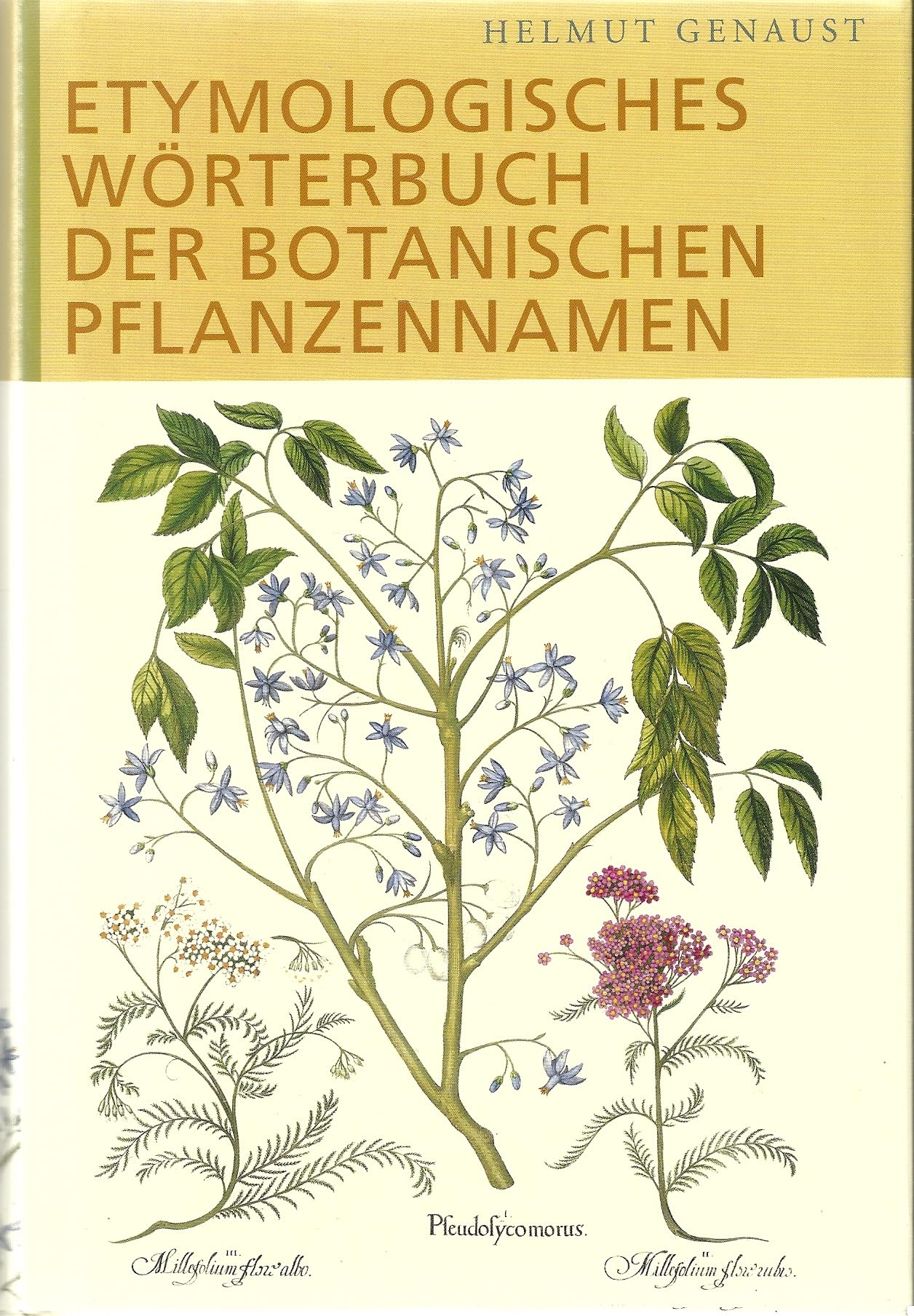 Etymologisches Wörterbuch der botanischen Pflanzennamen Leisure, Home & Garden