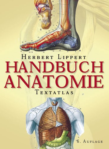 Handbuch Anatomie: Textatlas Medicine