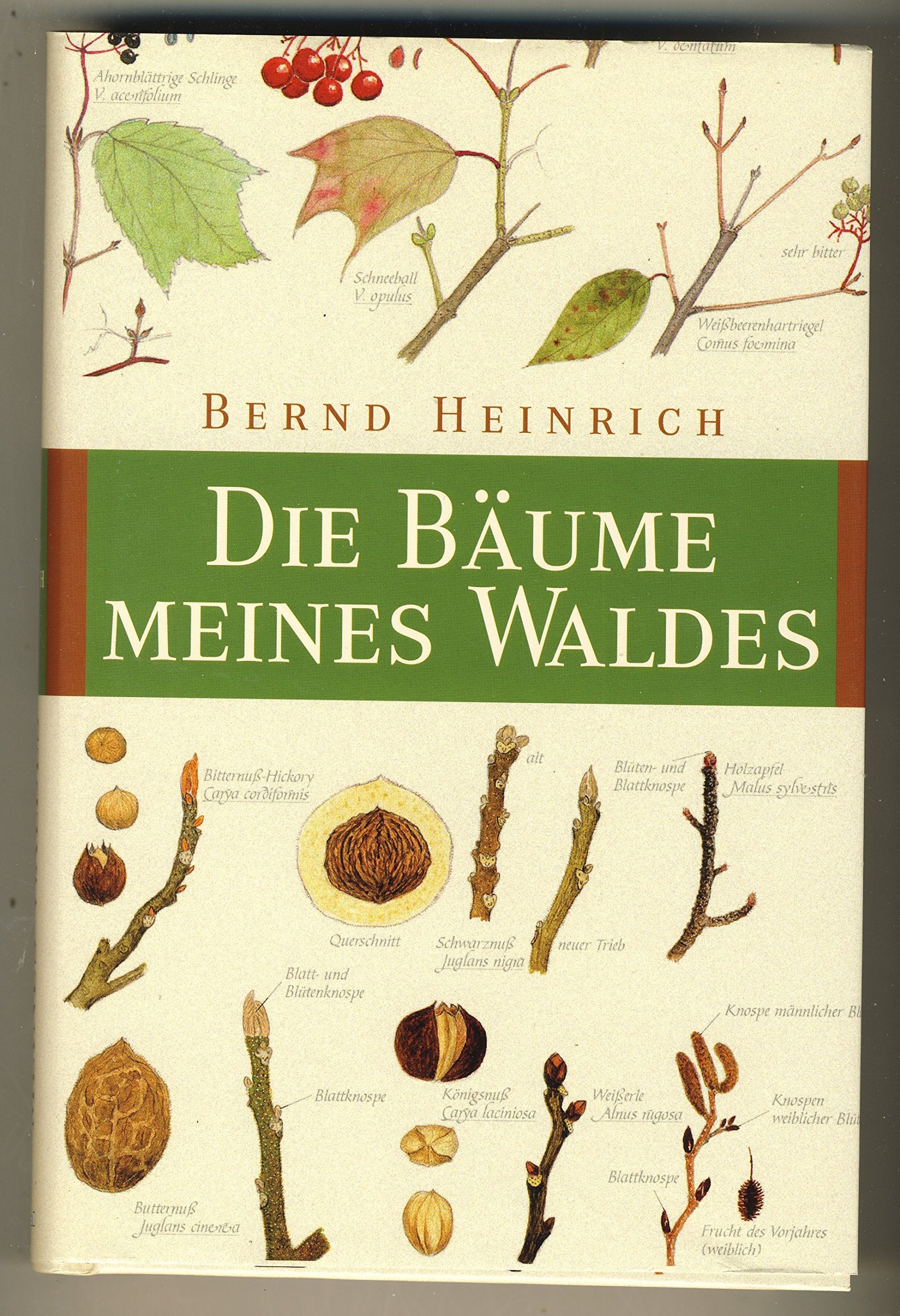 Product Image: Die Bäume meines Waldes