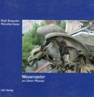 Wasserspeier am Ulmer Münster Professional & Reference Books