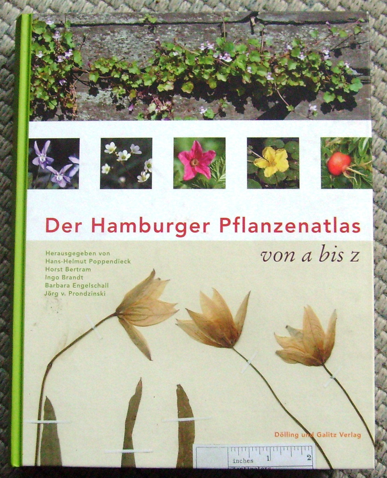Der Hamburger Pflanzenatlas: Von A bis Z Books