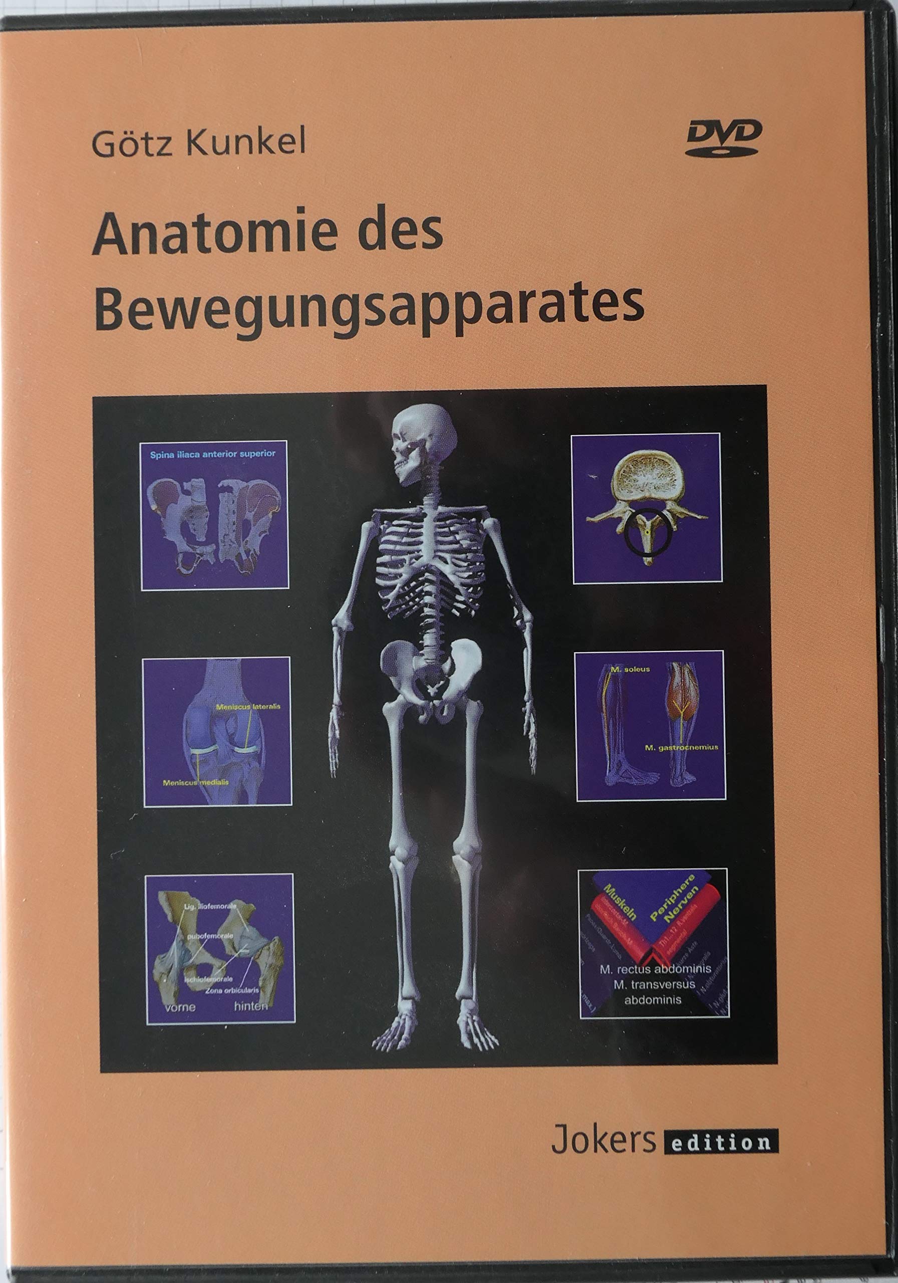 Product Image: Anatomie des Bewegungsapparates