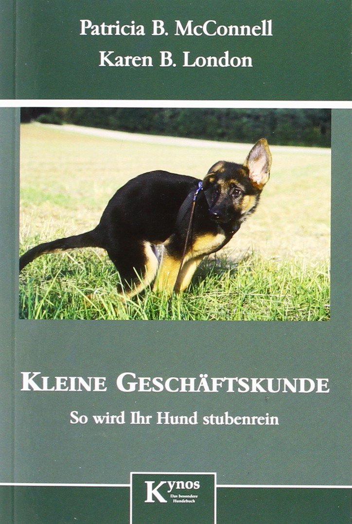 Kleine Geschäftskunde: So wird Ihr Hund stubenrein Pets