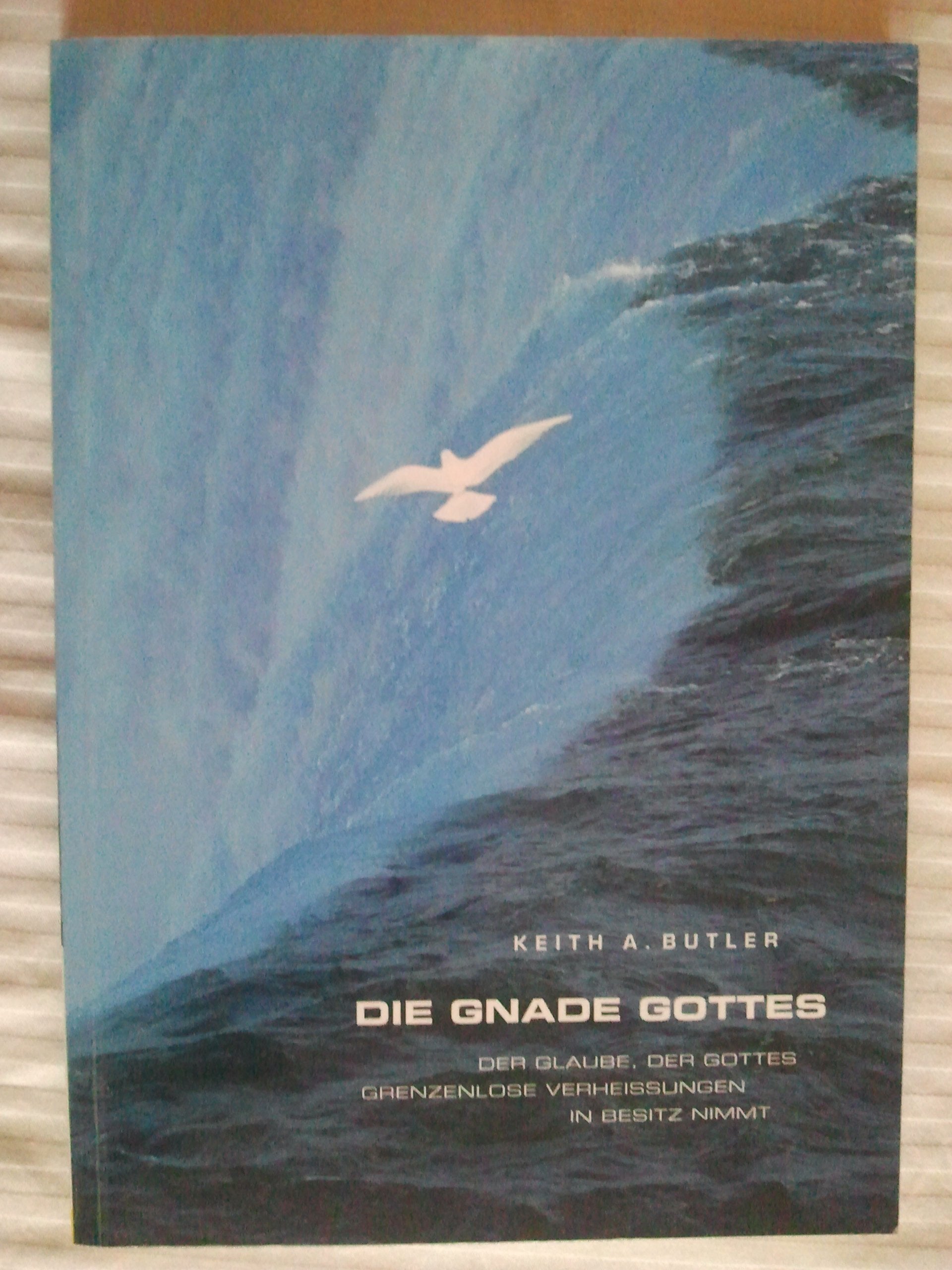 Die Gnade Gottes: Der Glaube, der Gottes grenzenlose Verheissungen in Besitz nimmt Books
