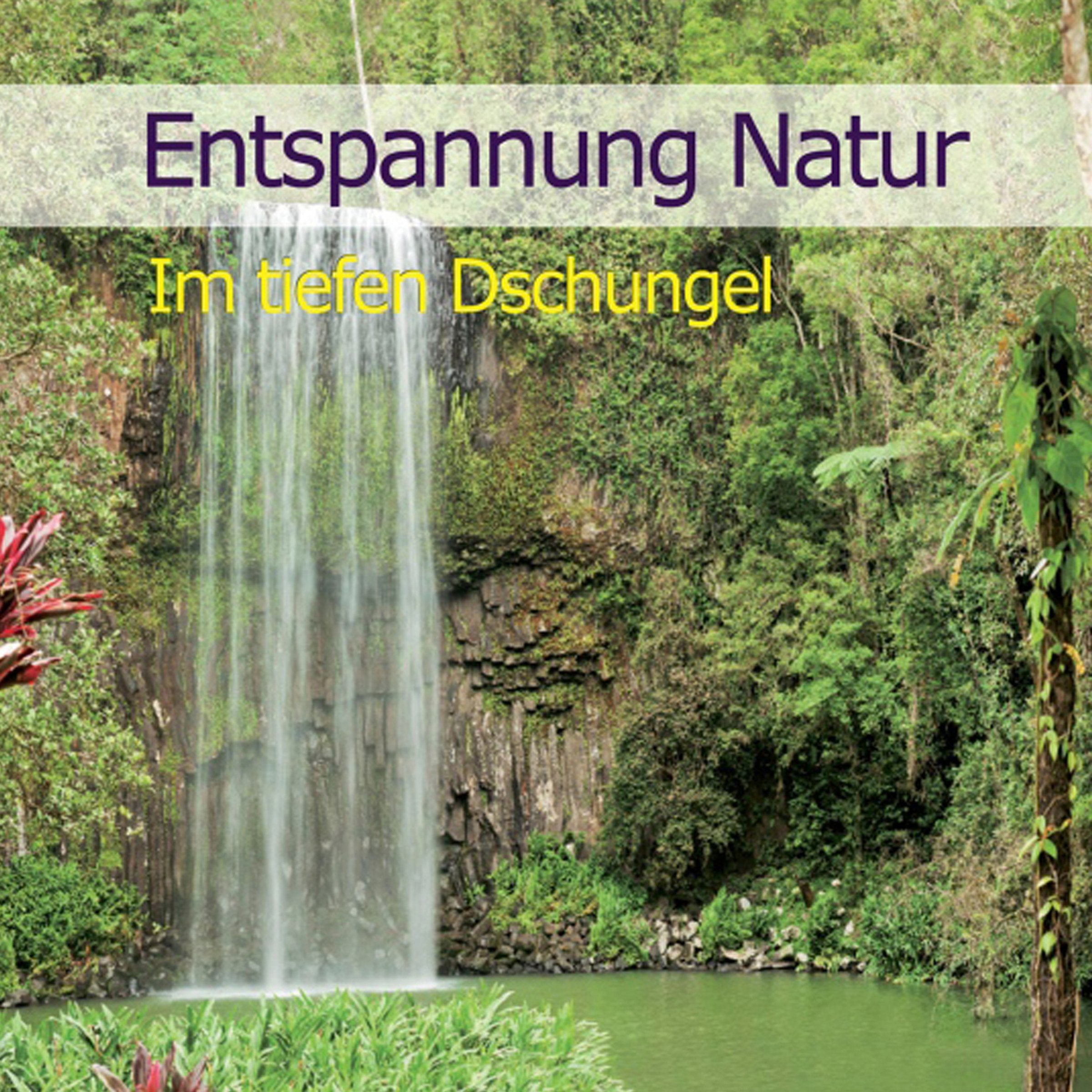 Entspannung Natur - Im tiefen Dschungel Music