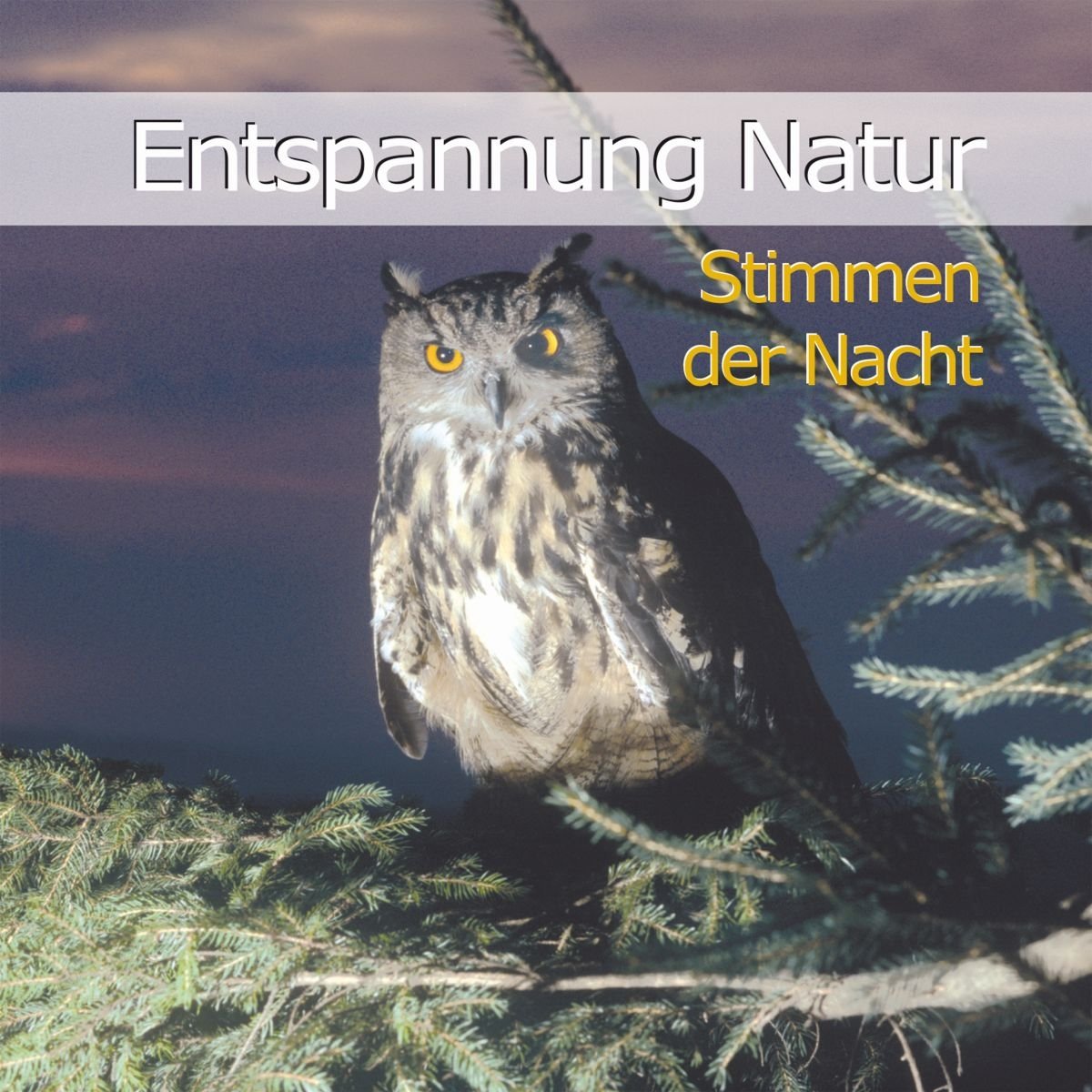 Entspannung Natur - Stimmen der Nacht Leisure, Home & Garden