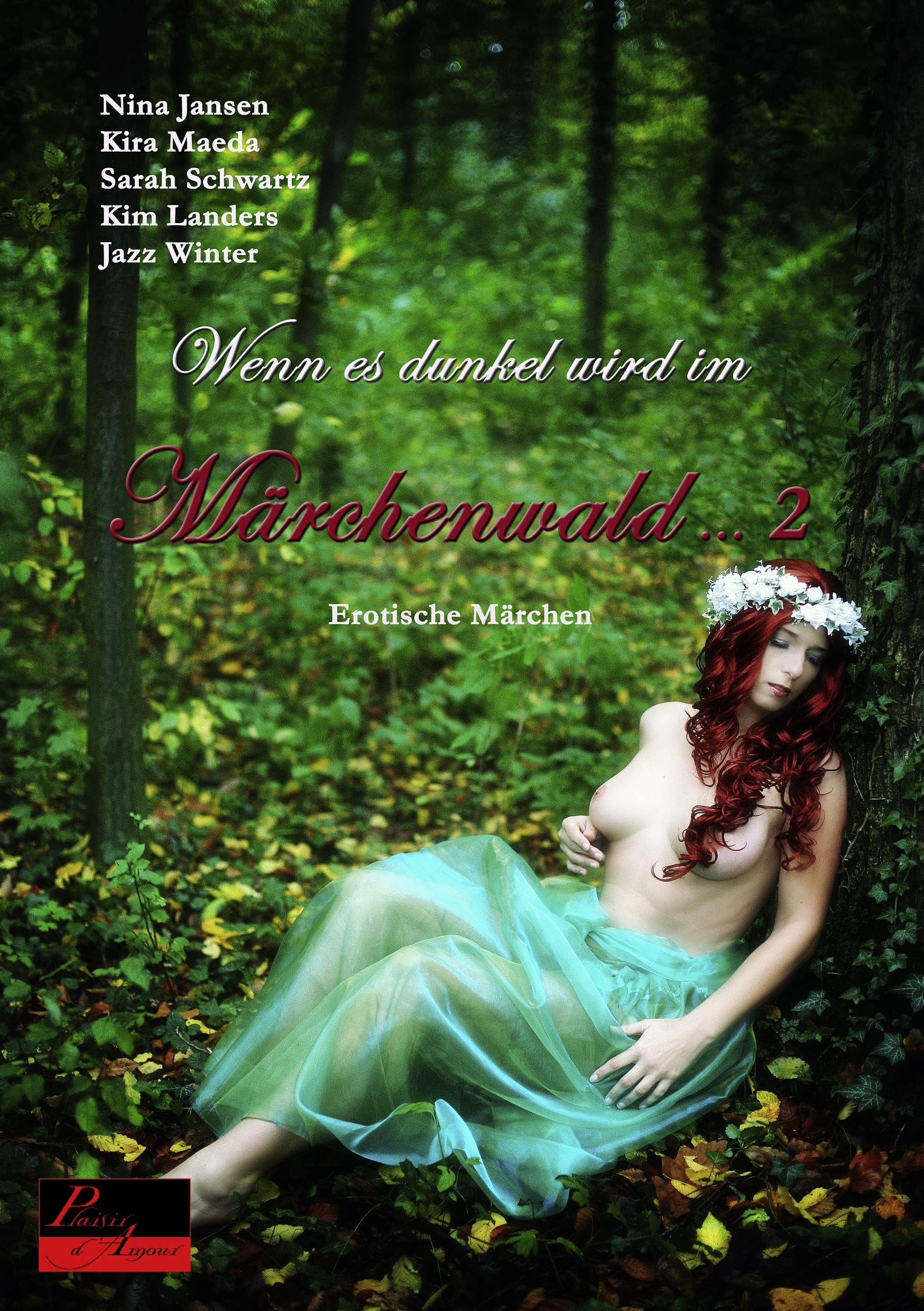 Product Image: Wenn es dunkel wird im Märchenwald ... 2