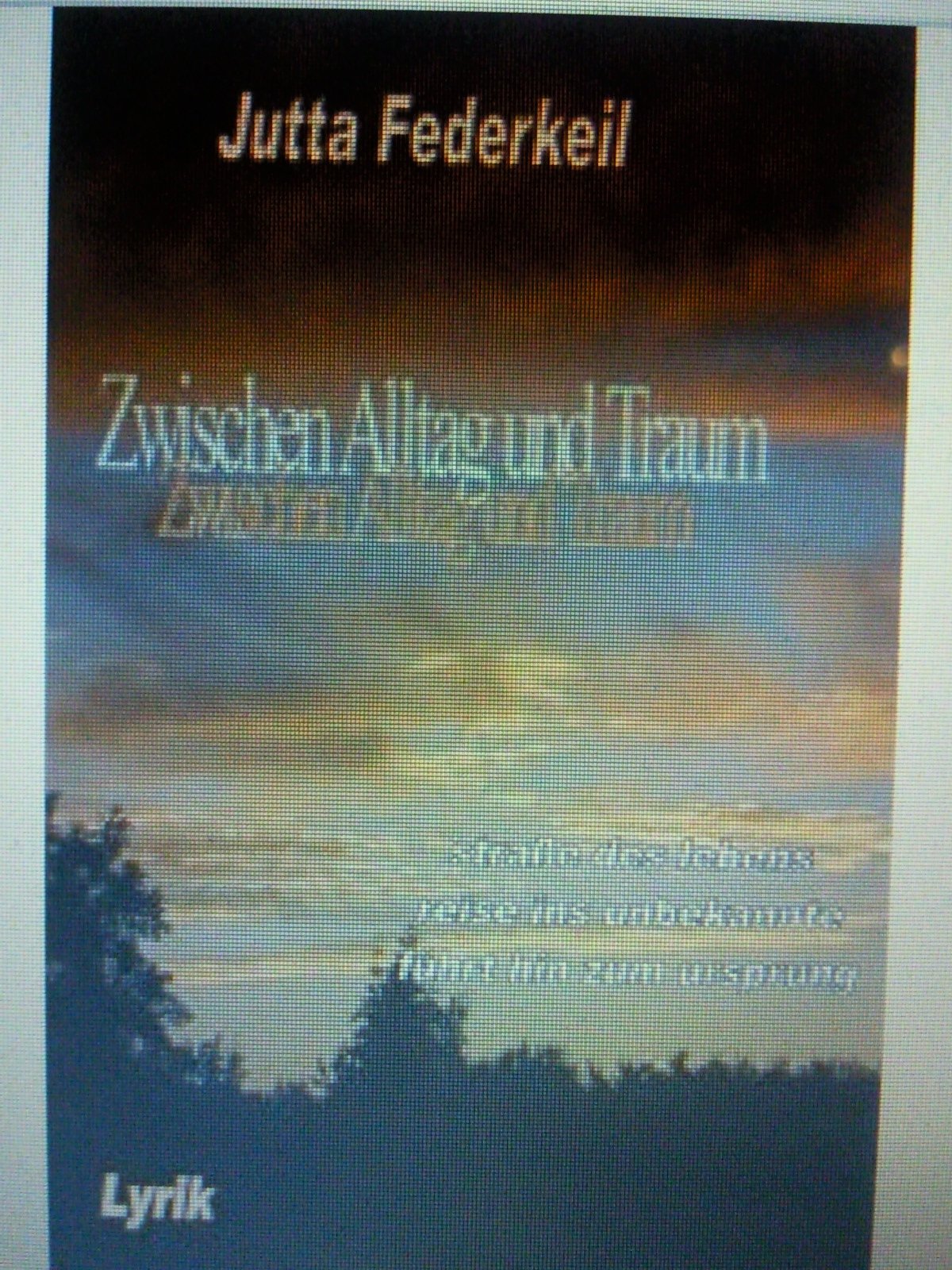 Zwischen Alltag und Traum Fiction