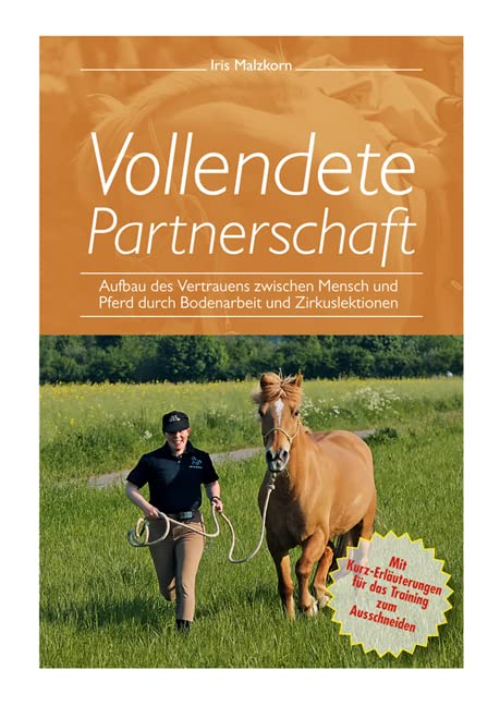 Vollendete Partnerschaft Medicine