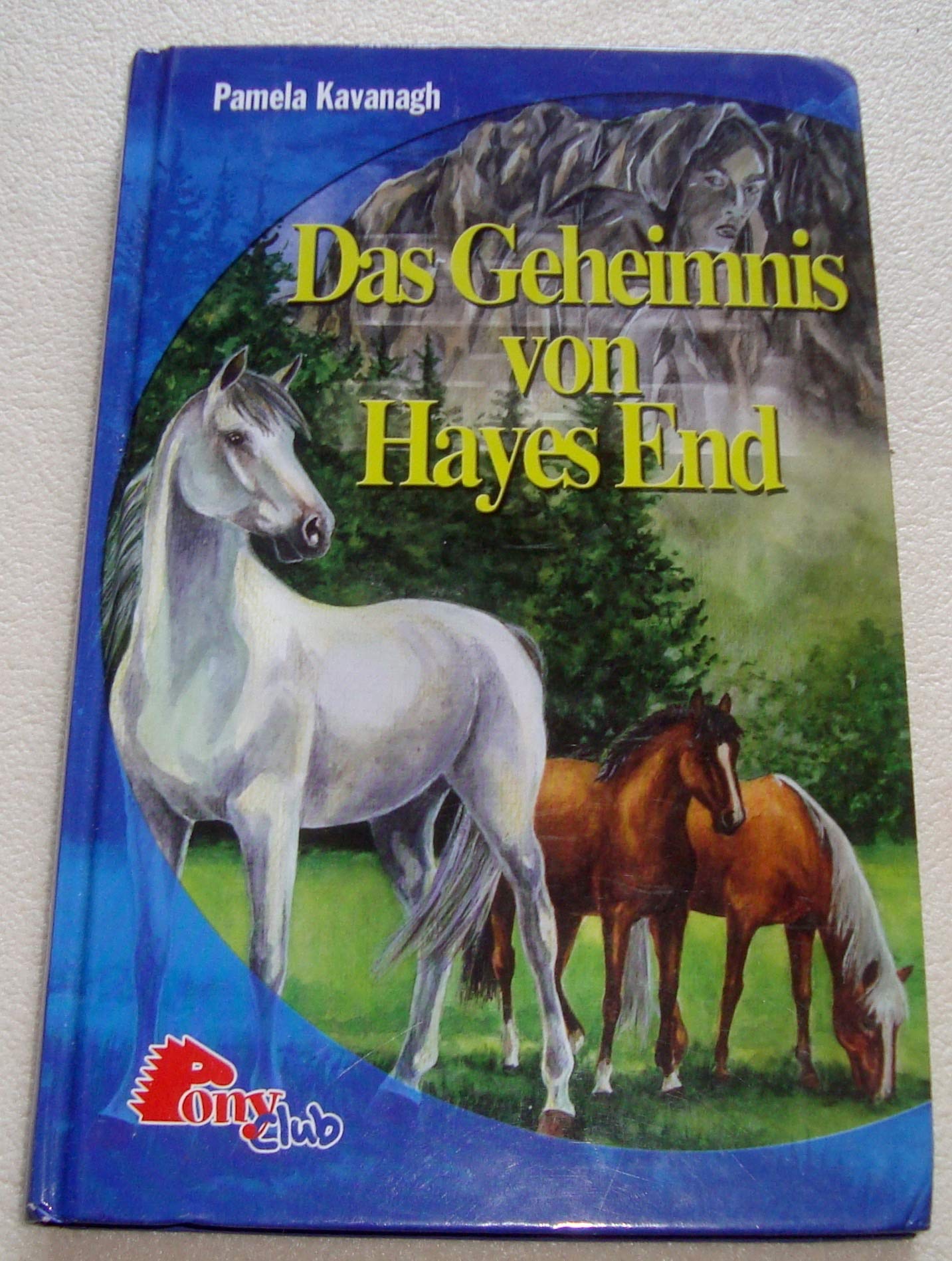 Pamela Kavanagh: Das Geheimnis von Hayes End Children's books