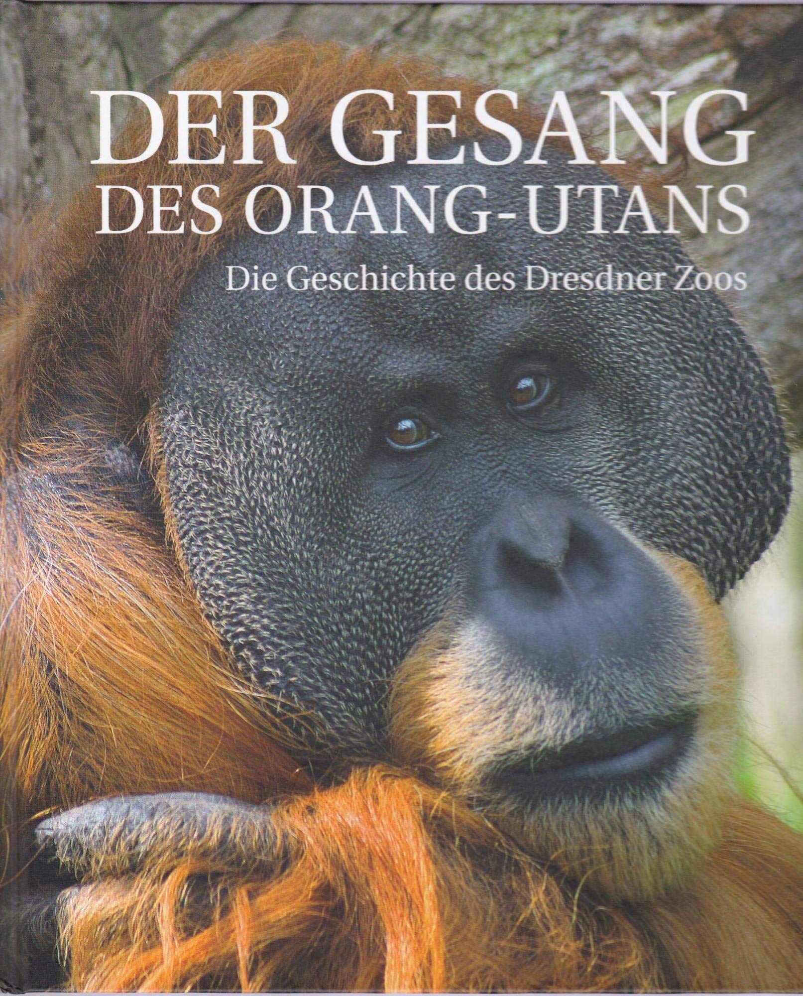 Der Gesang des Orang-Utans Politics & History books