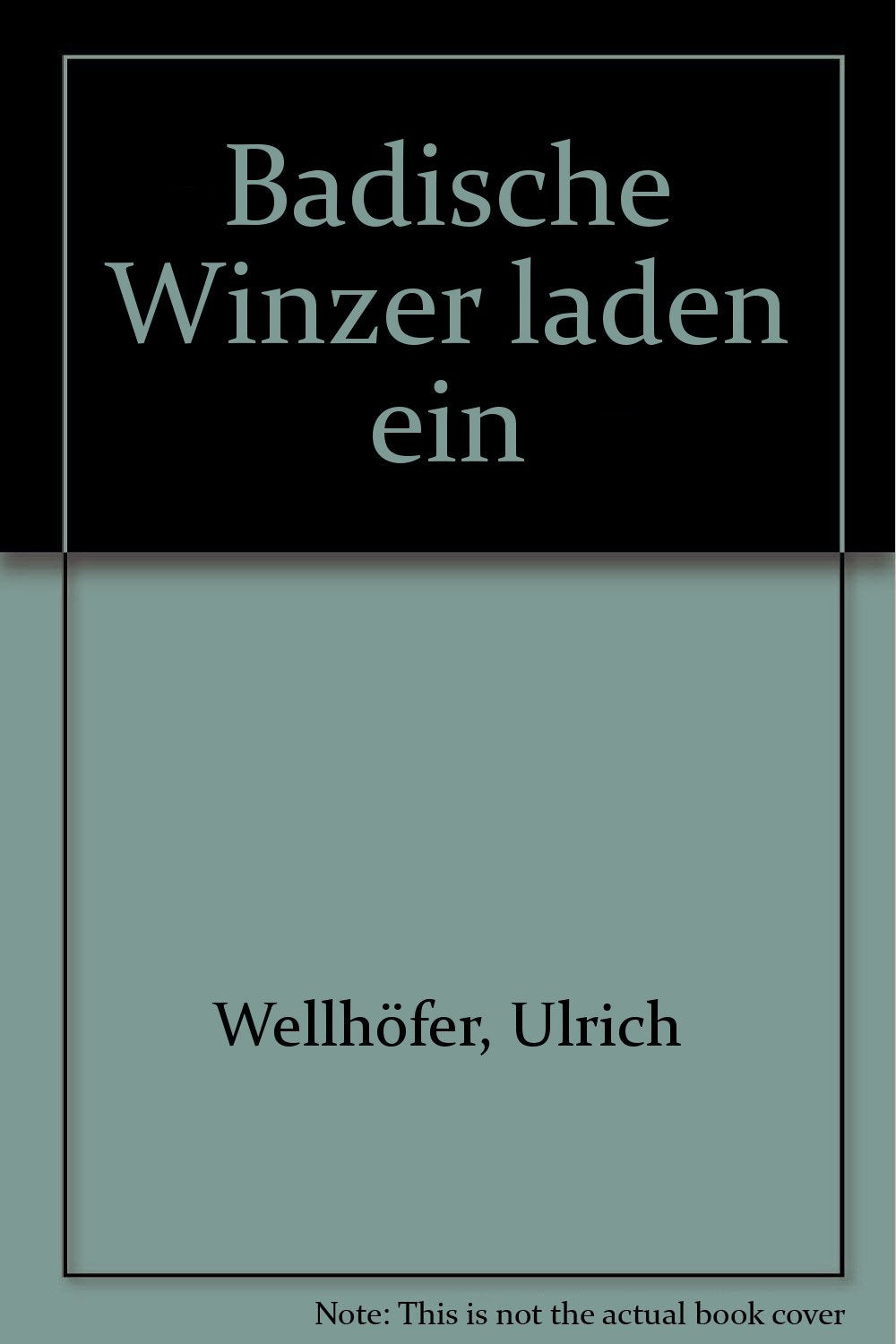 Badische Winzer laden ein: Weingutführer Südbaden Leisure, Home & Garden