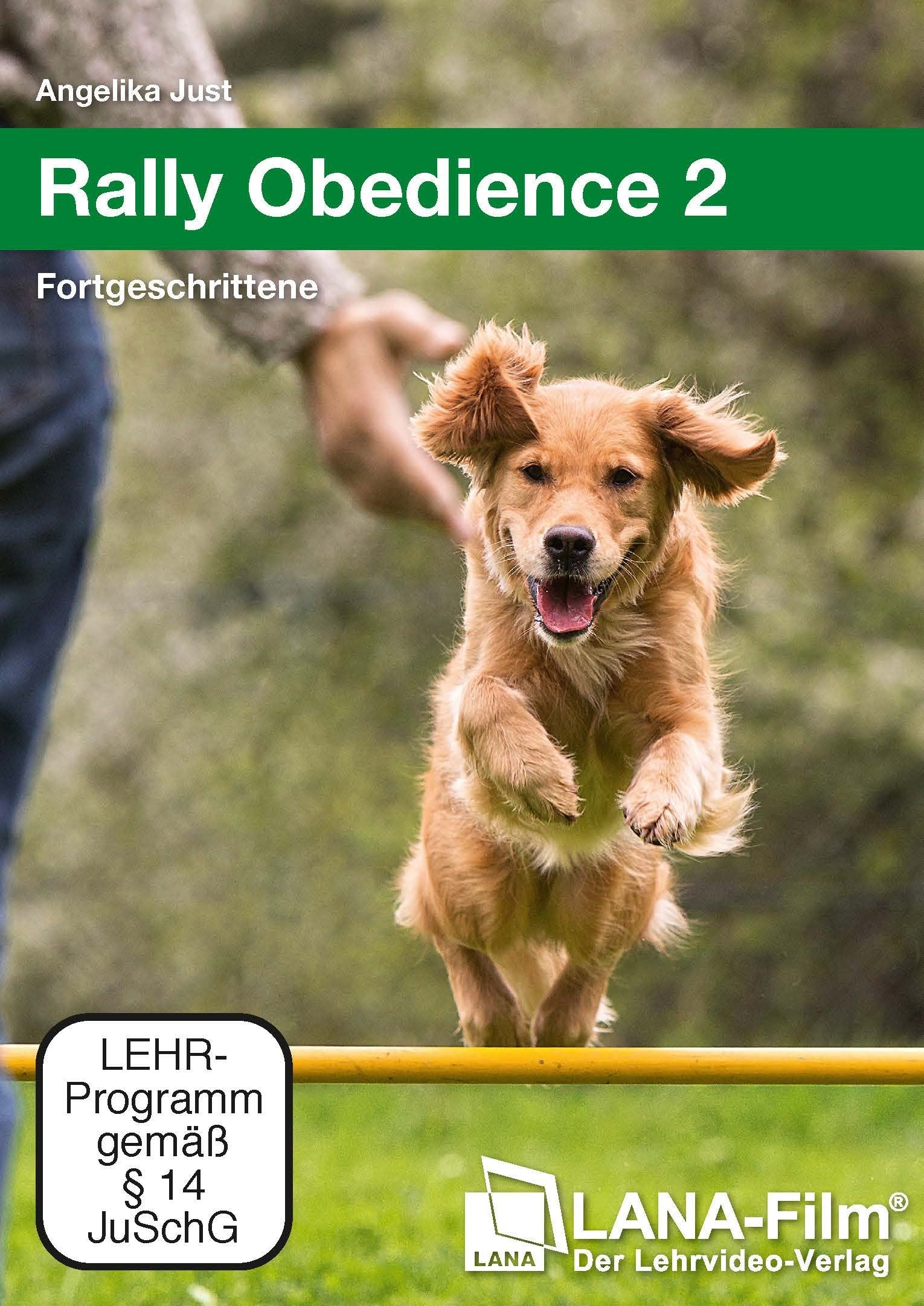 Rally Obedience 2: Fortgeschrittene Films