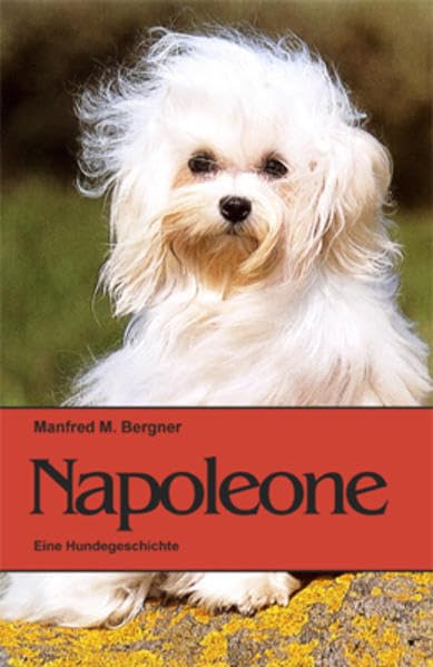 Napoleone Contemporary literature Books
