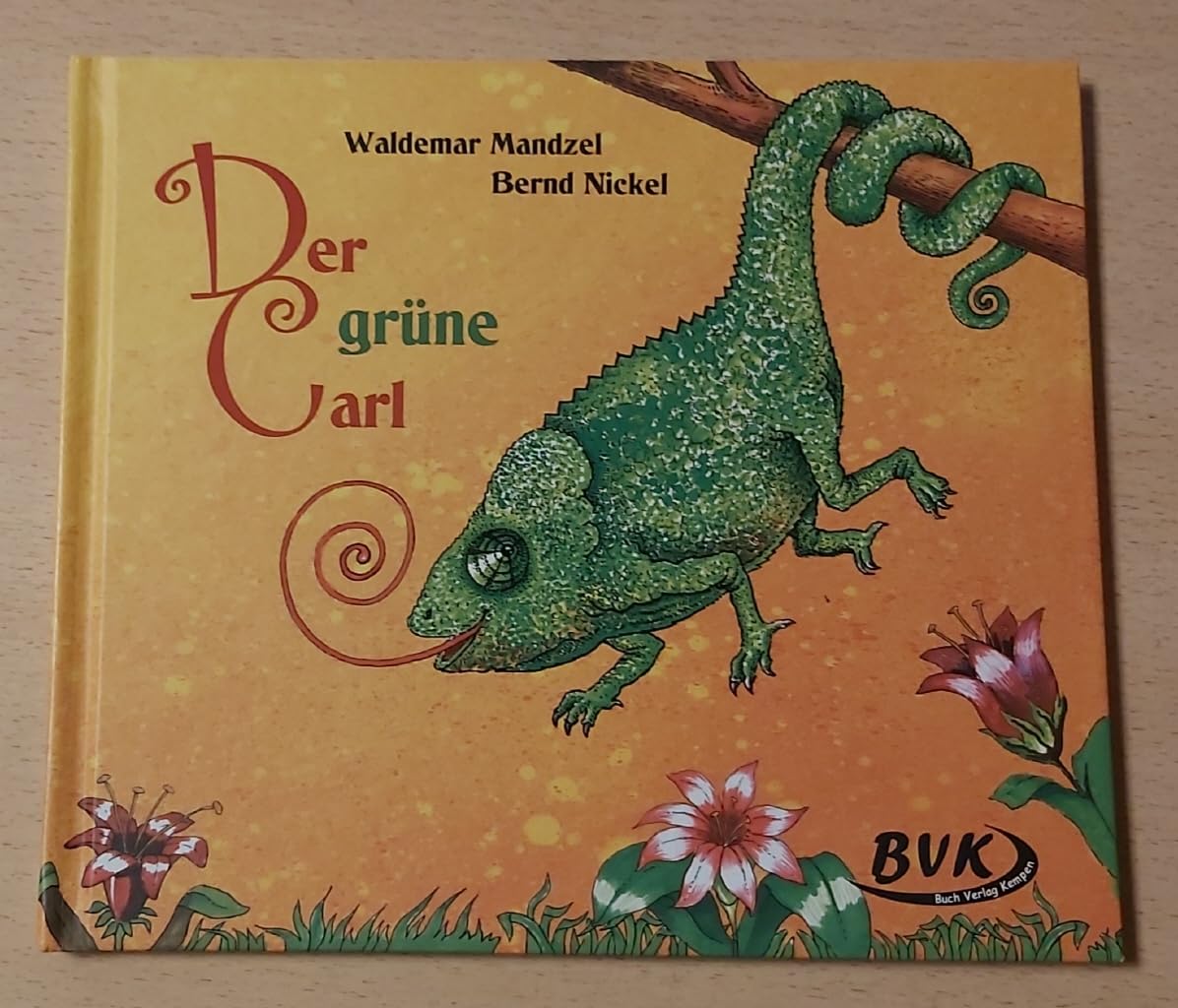 Der güne Carl | Bilderbuch ab 3 Jahren Study Guides
