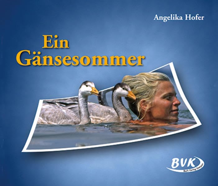 Ein Gänsesommer Study Guides Books