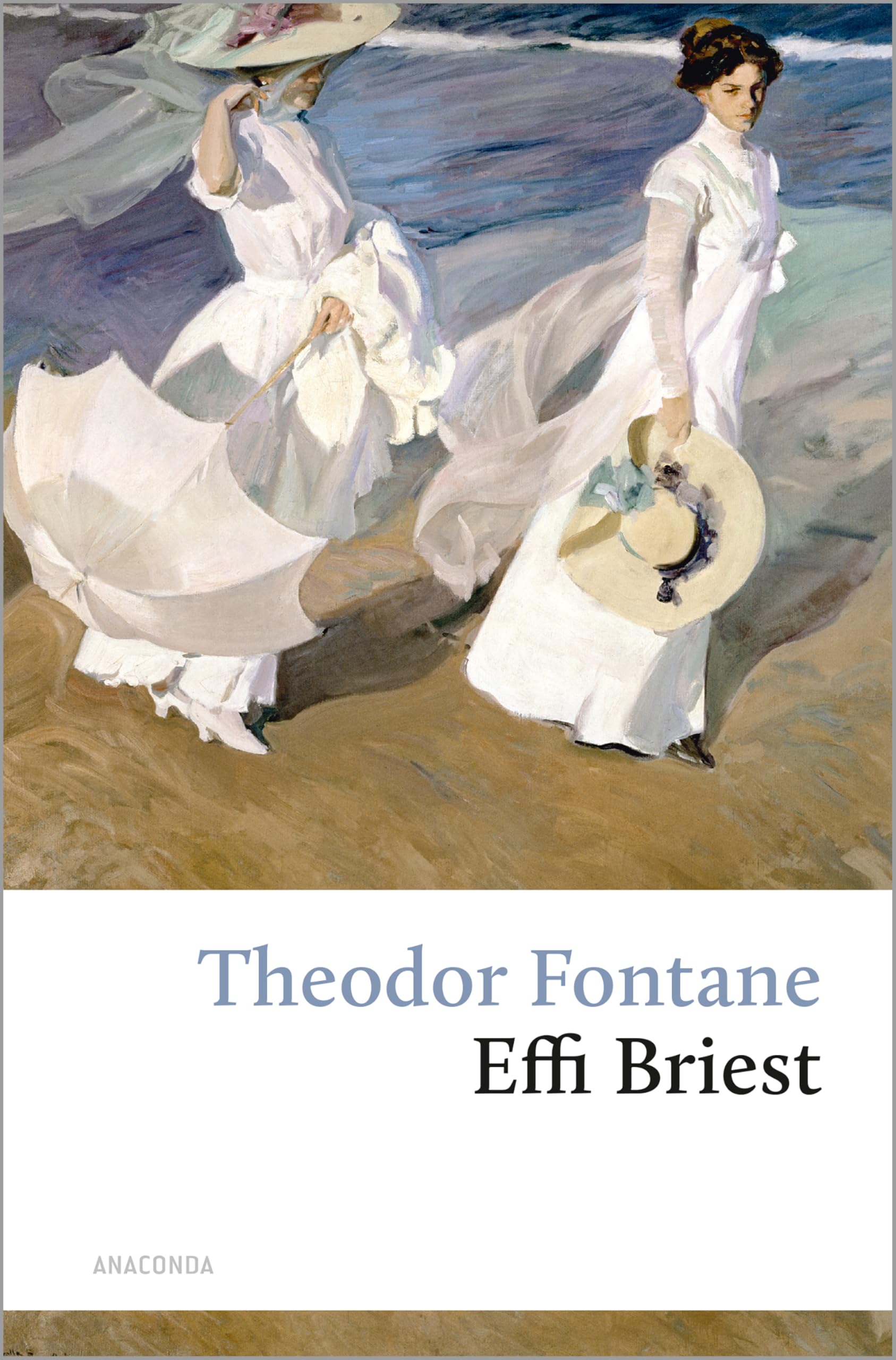 Effi Briest Contemporary literature Books