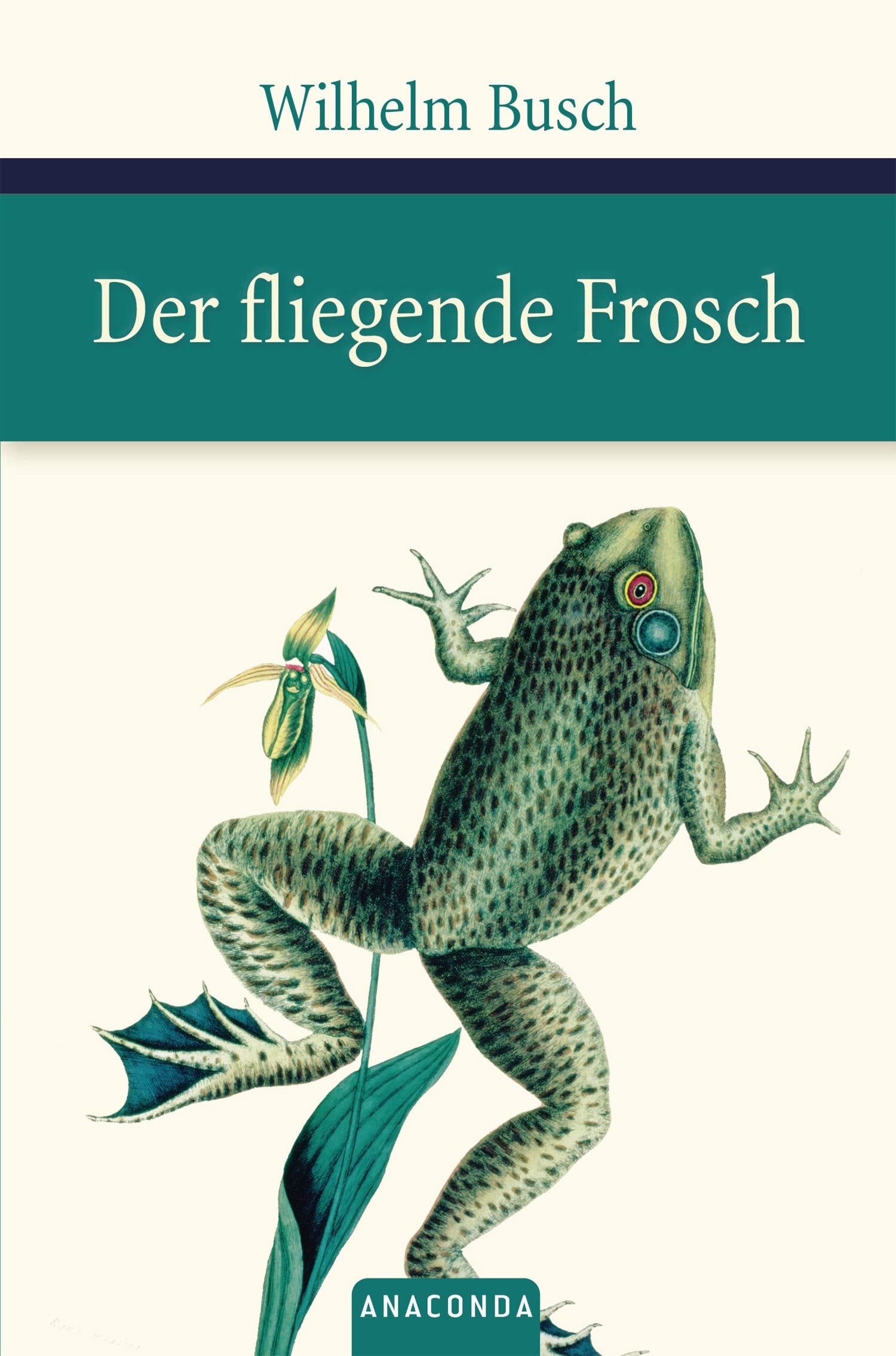 Product Image: Der fliegende Frosch