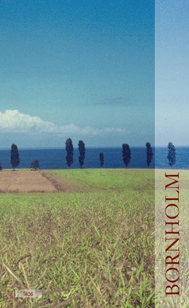 Bornholm: Aktuelle Informationen, historische und kulturwissenschaftliche Essays (Thema: Bornholm) Leisure, Home & Garden