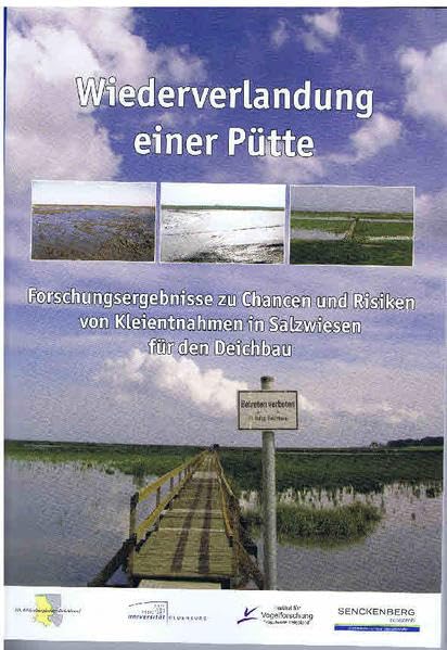 Wiederverlandung einer Pütte: Forschungsergebnisse zu Chancen und Risiken von Kleientnahmen in Salzwiesen für den Deichbau Natural Sciences