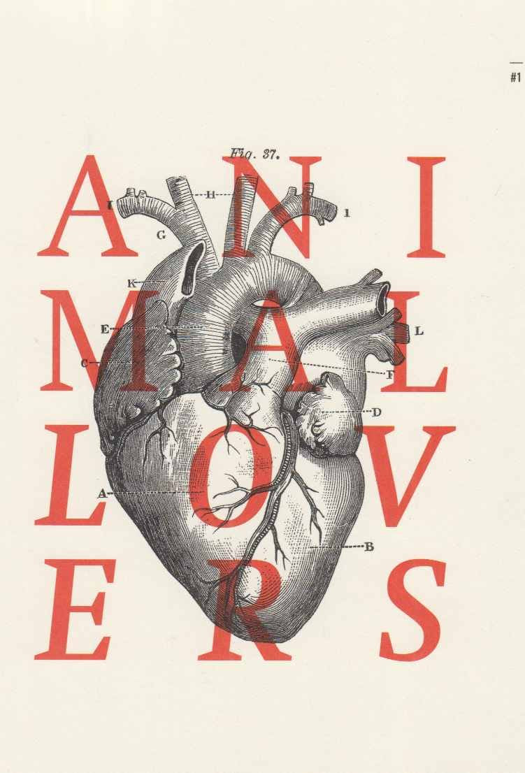 Animal Lovers Film, Art & Culture