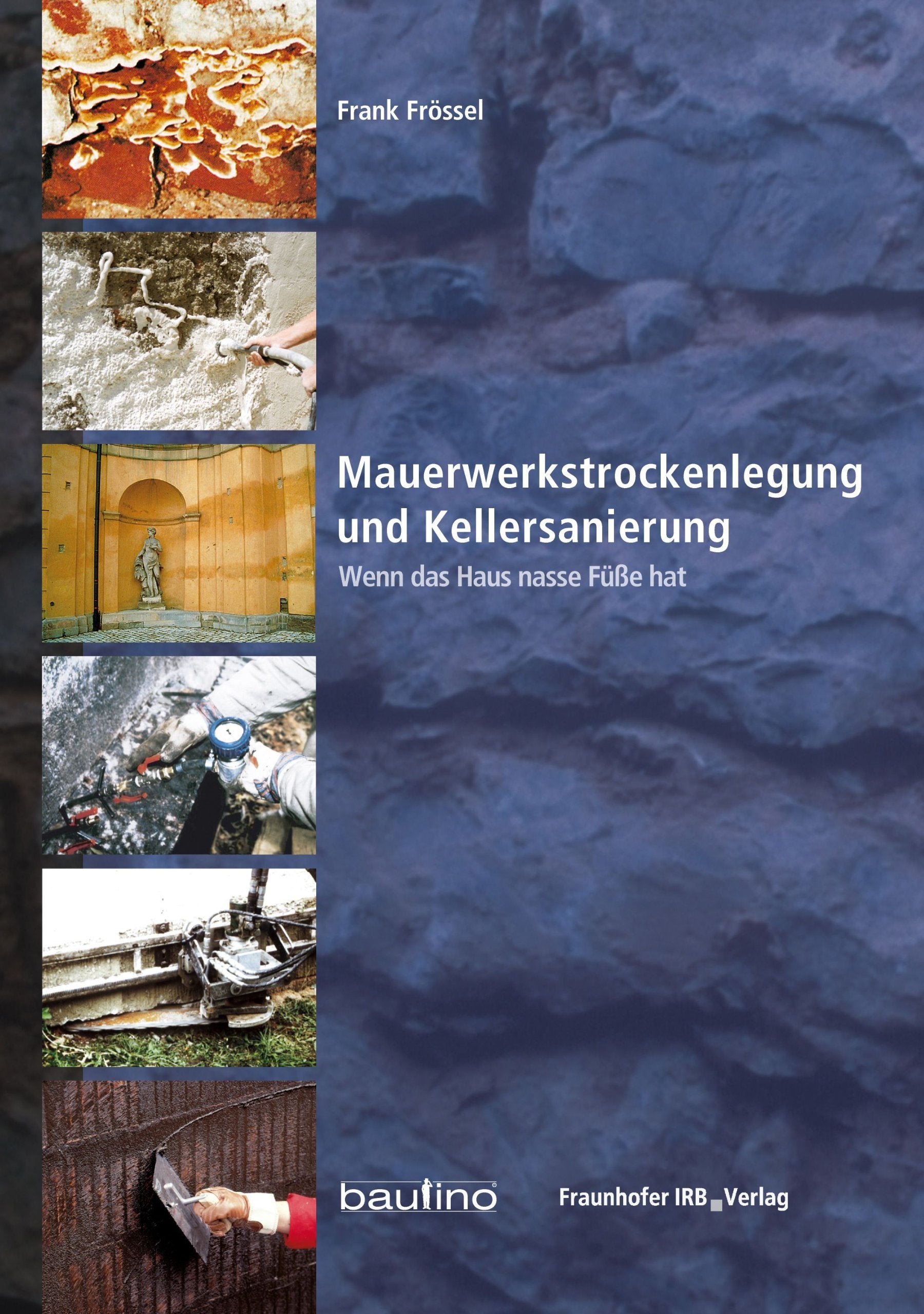 Mauerwerkstrockenlegung und Kellersanierung: Wenn das Haus nasse Füße hat book