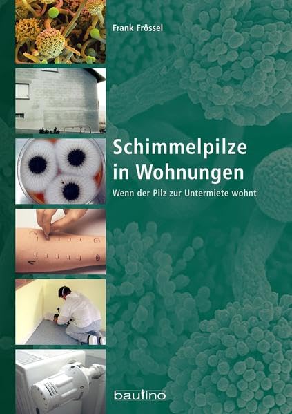 Schimmelpilze in Wohnungen: Wenn der Pilz zur Untermiete wohnt Business & Technology
