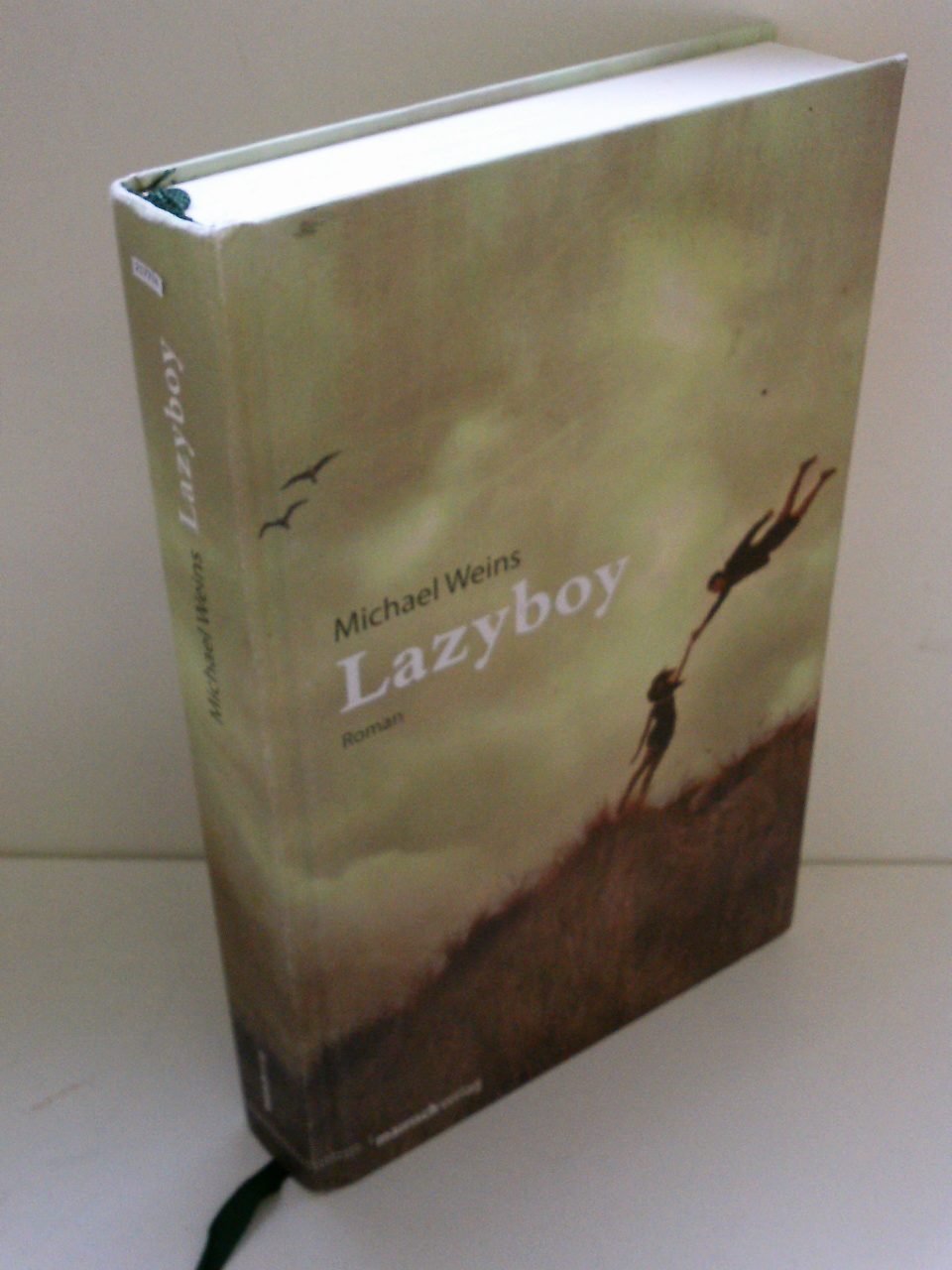 Lazyboy: Roman Contemporary literature