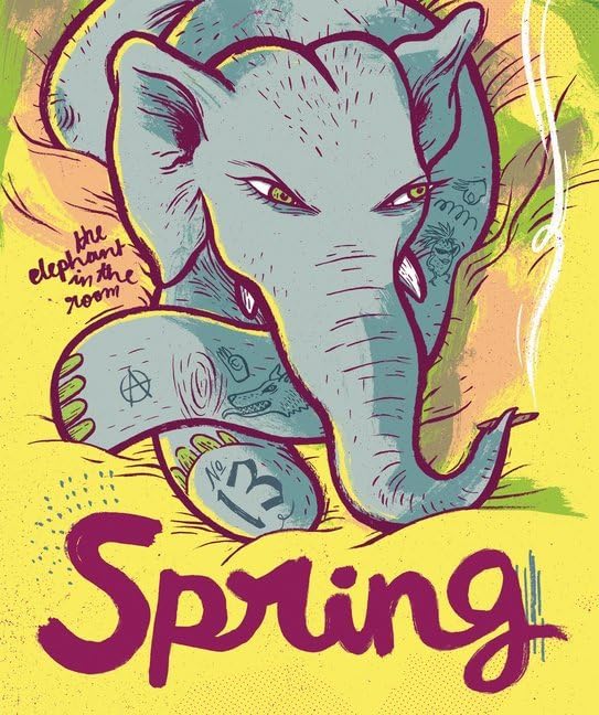 SPRING #13: The Elephant In The Room book