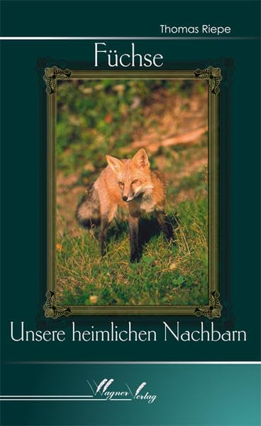 Füchse: Unsere heimlichen Nachbarn Leisure, Home & Garden