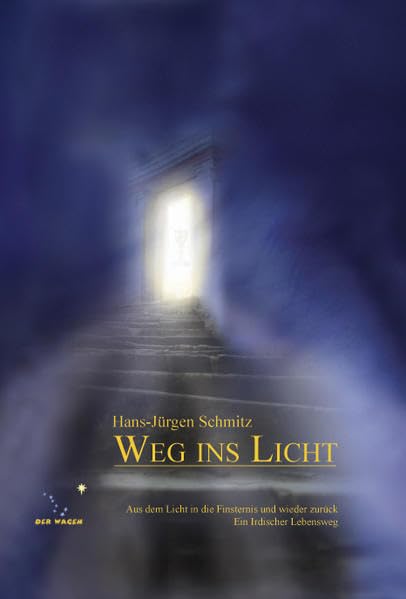 Weg ins Licht: Aus dem Licht in die Finsternis und wieder zurück. Ein Irdischer Lebensweg Politics & Society