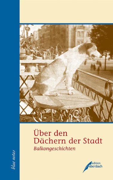 Über den Dächern der Stadt: Balkongeschichten (blue notes) Contemporary literature