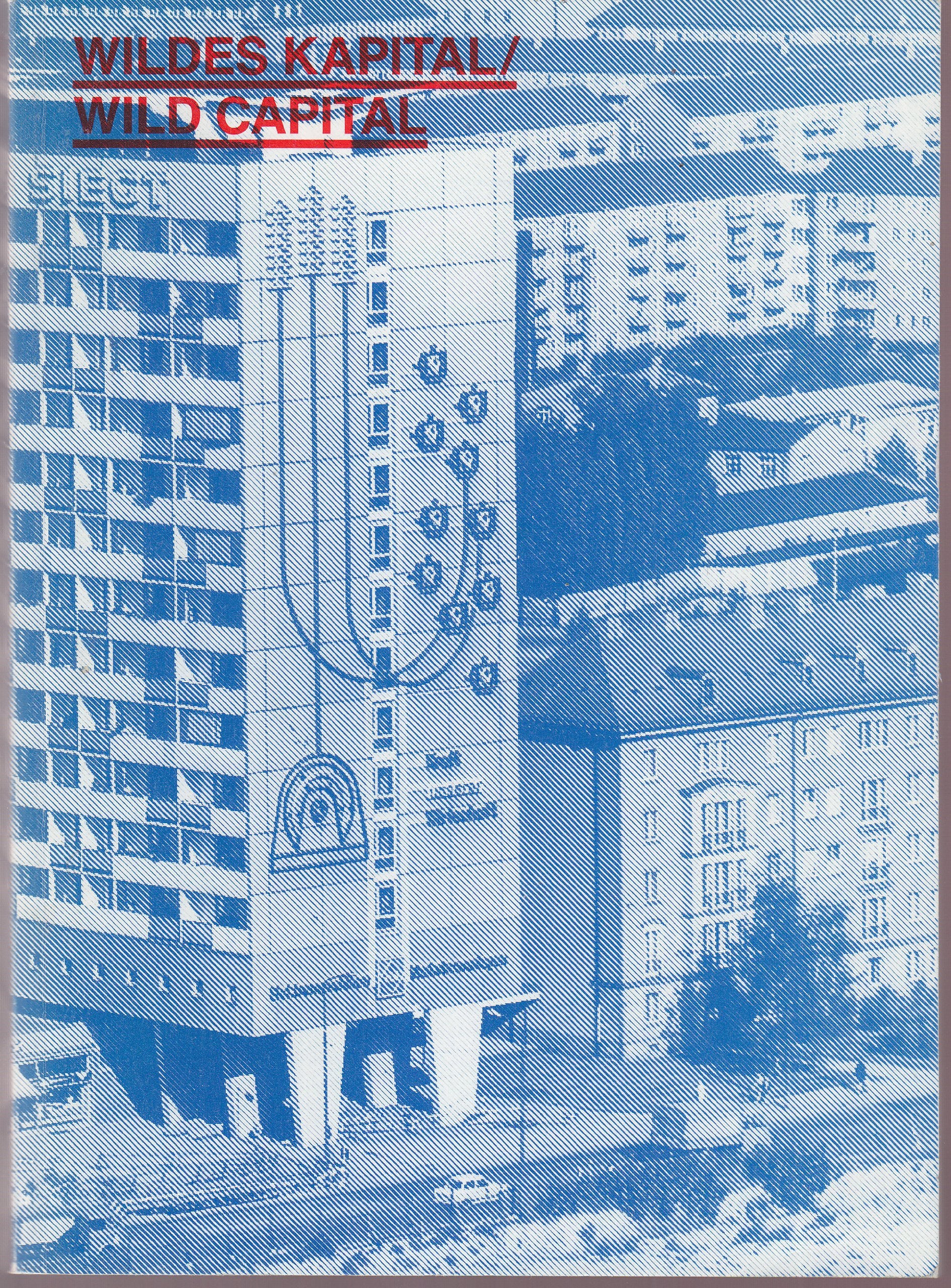 Wildes Kapital / Wild Capital: Reflexion zur postsozialistischen Stadt / Refkections on post-socialist cities Film, Art & Culture
