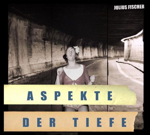 Julius Fischer: Aspekte der Tiefe: Slam-Poetry und Liedermaching Poetry