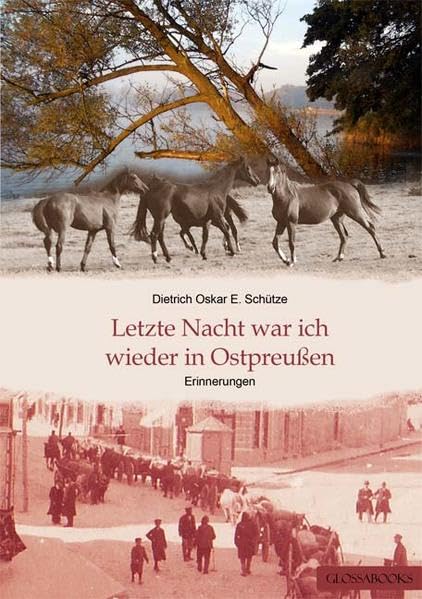 Letzte Nacht war ich wieder in Ostpreußen Contemporary literature